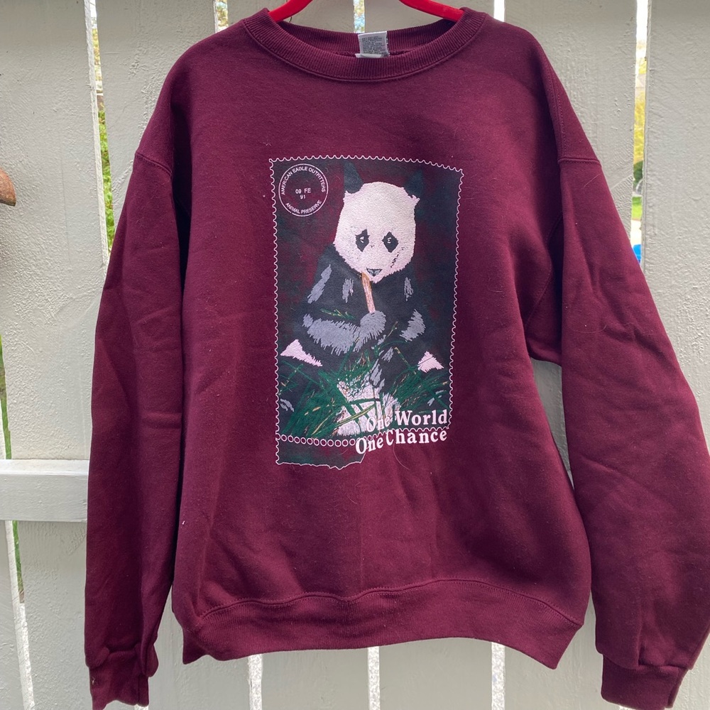 American Eagle Retro Crewneck